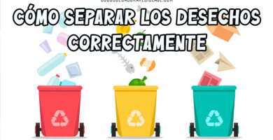 Cómo separar los desechos correctamente