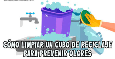 Cómo Limpiar un Cubo de Reciclaje para Prevenir Olores