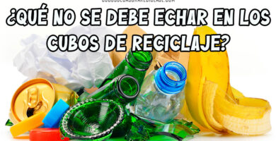 ¿Qué NO se debe echar en los cubos de reciclaje?