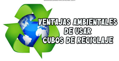 Ventajas Ambientales de Usar Cubos de Reciclaje