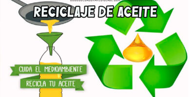 Reciclaje de Aceite de Cocina Usado